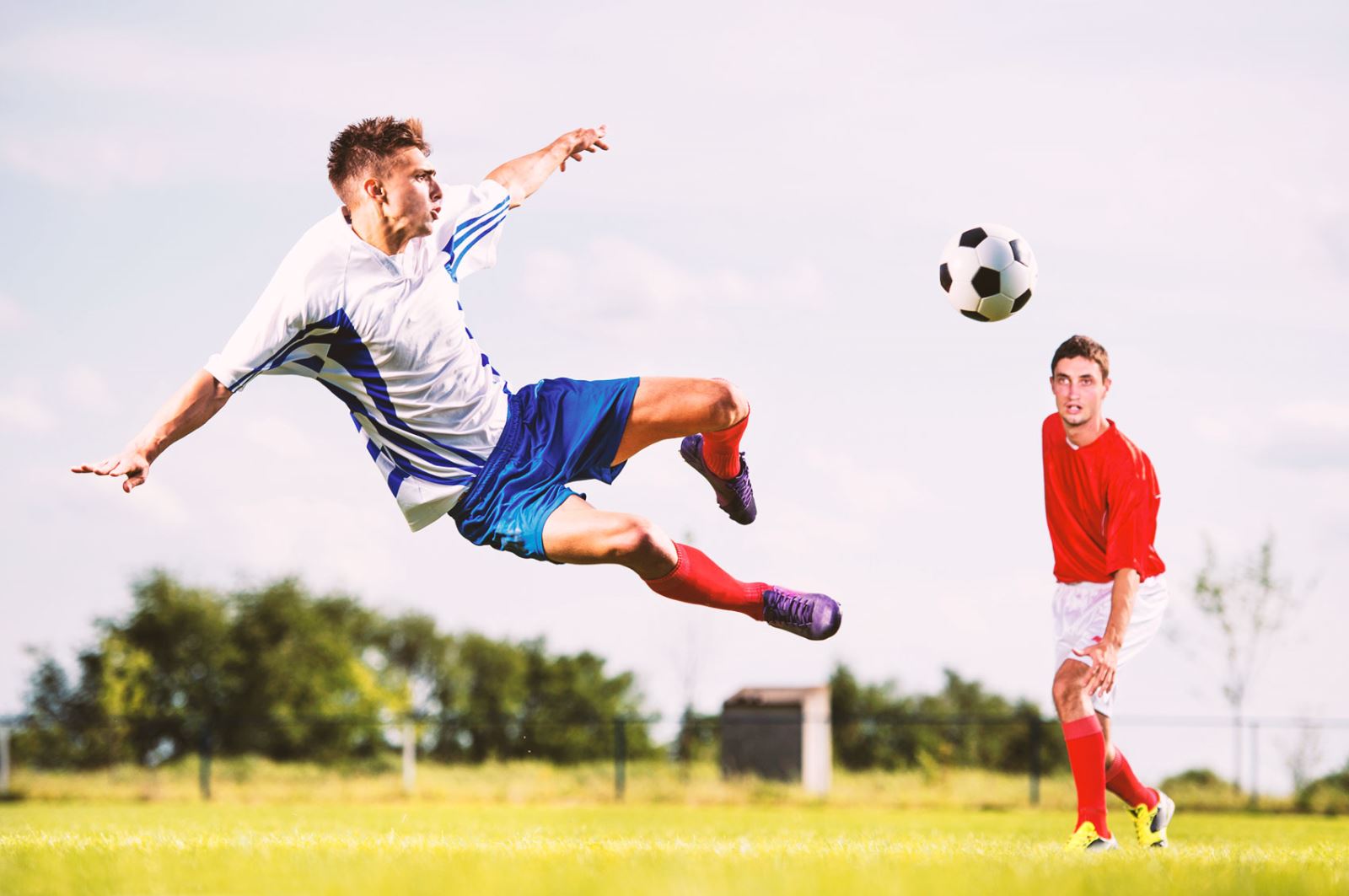 每一年评选 每一年评选