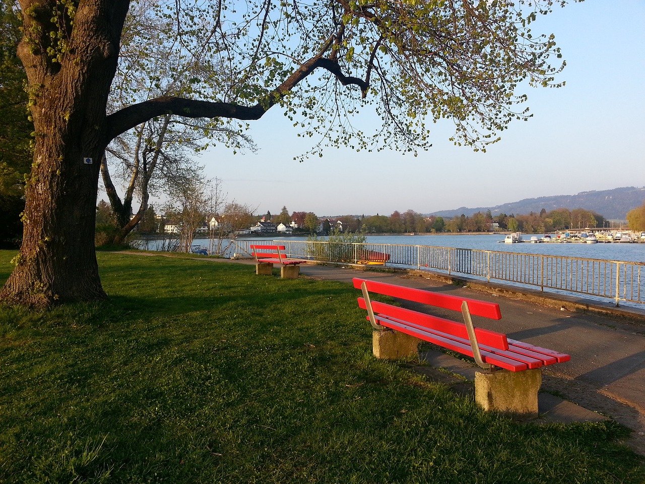 挑战旧有的 挑战旧有的