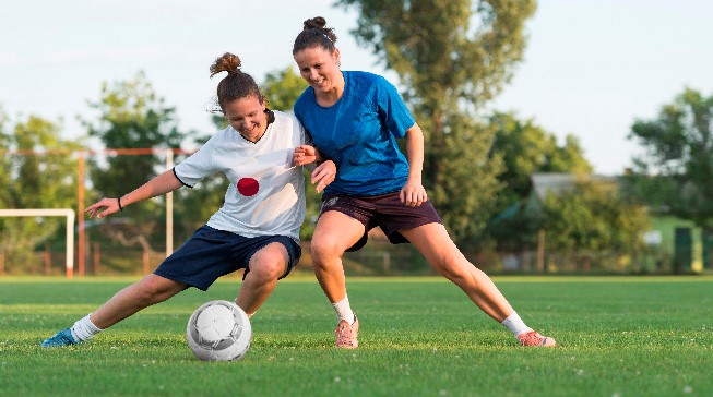 展现出极高 展现出极高