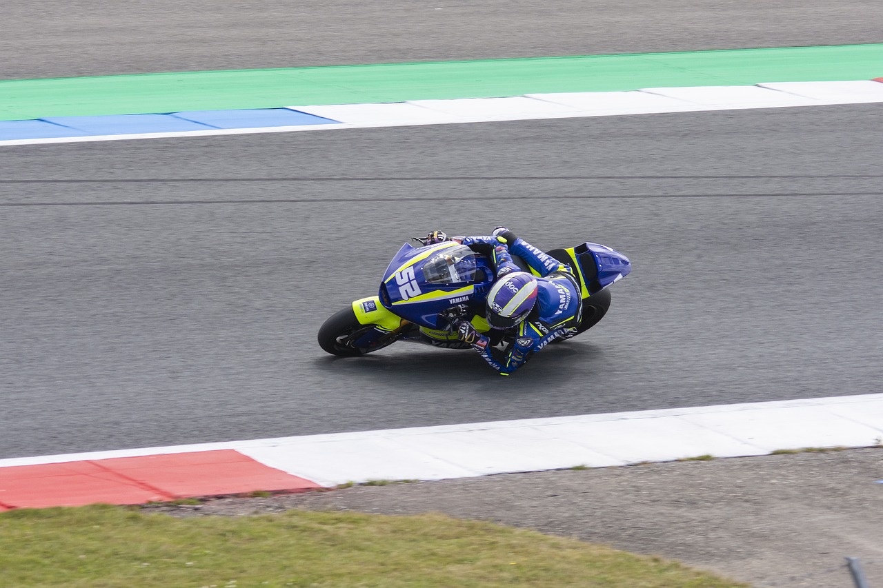 子来维持其 子来维持其