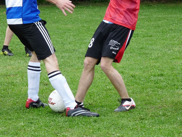 树立了新的 树立了新的