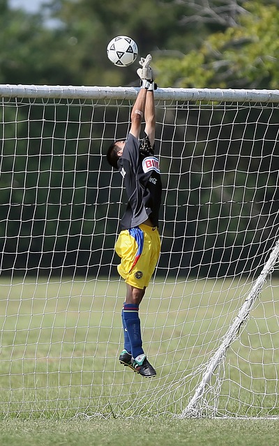 回顾曼城在 回顾曼城在